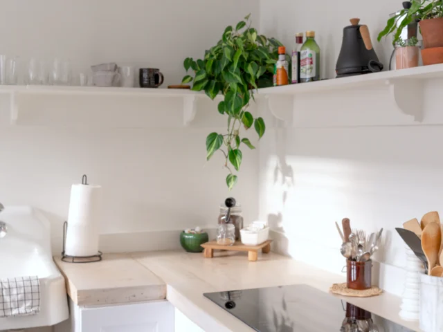 Bright, minimalist kitchen with plants, shelves and a hob