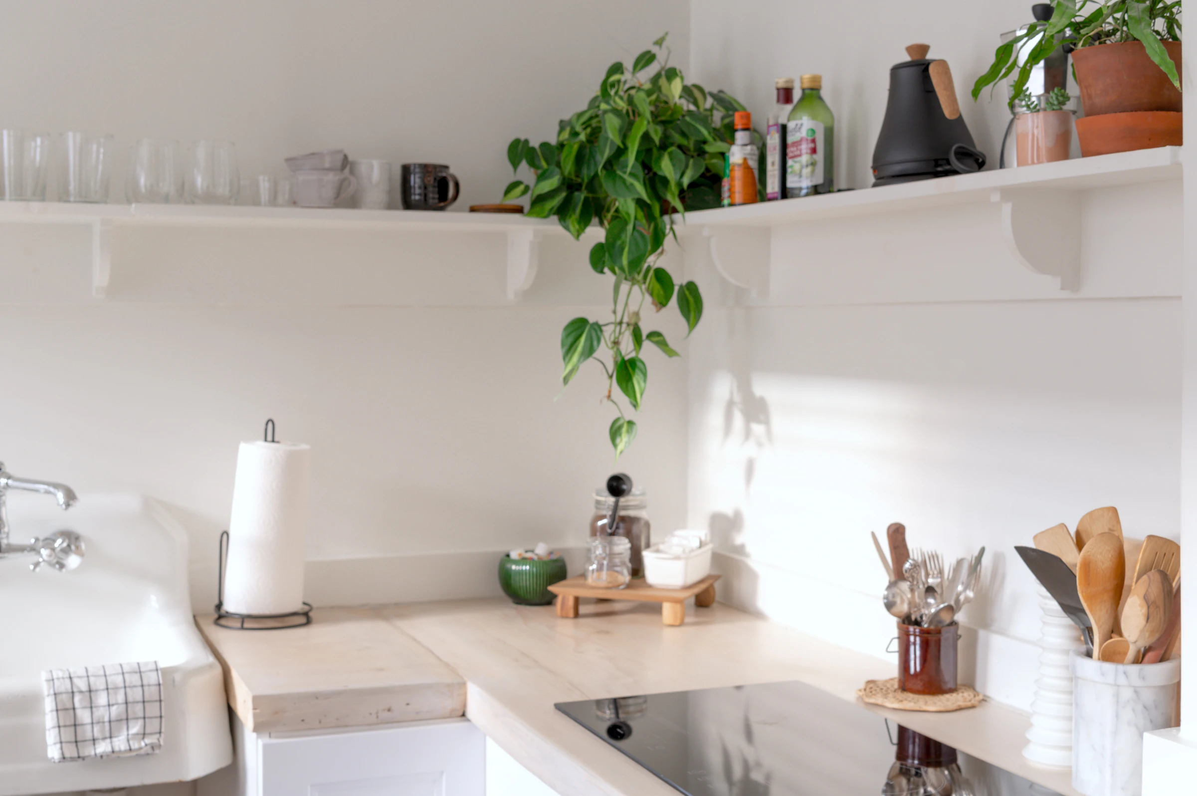 Bright, minimalist kitchen with plants, shelves and a hob