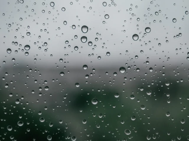 Condensation droplets on a window pane