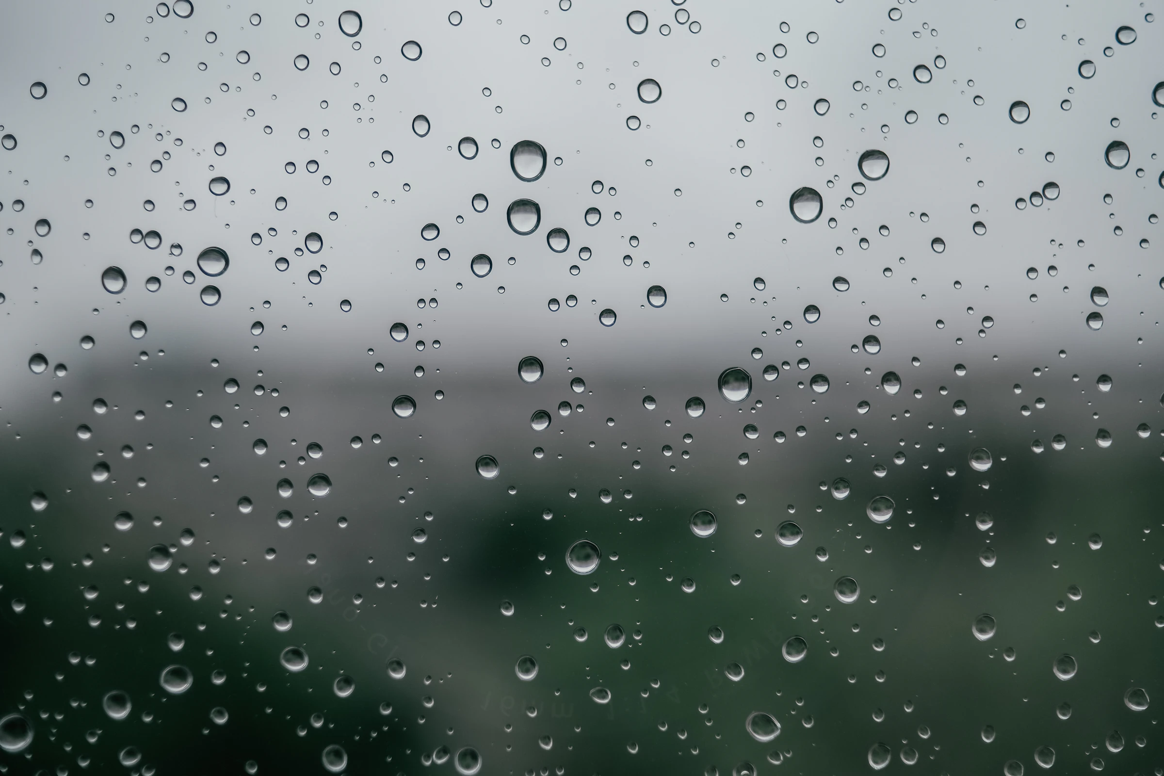 Condensation droplets on a window pane
