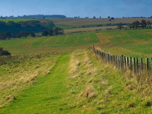Footpath through green Yorkshire countryside