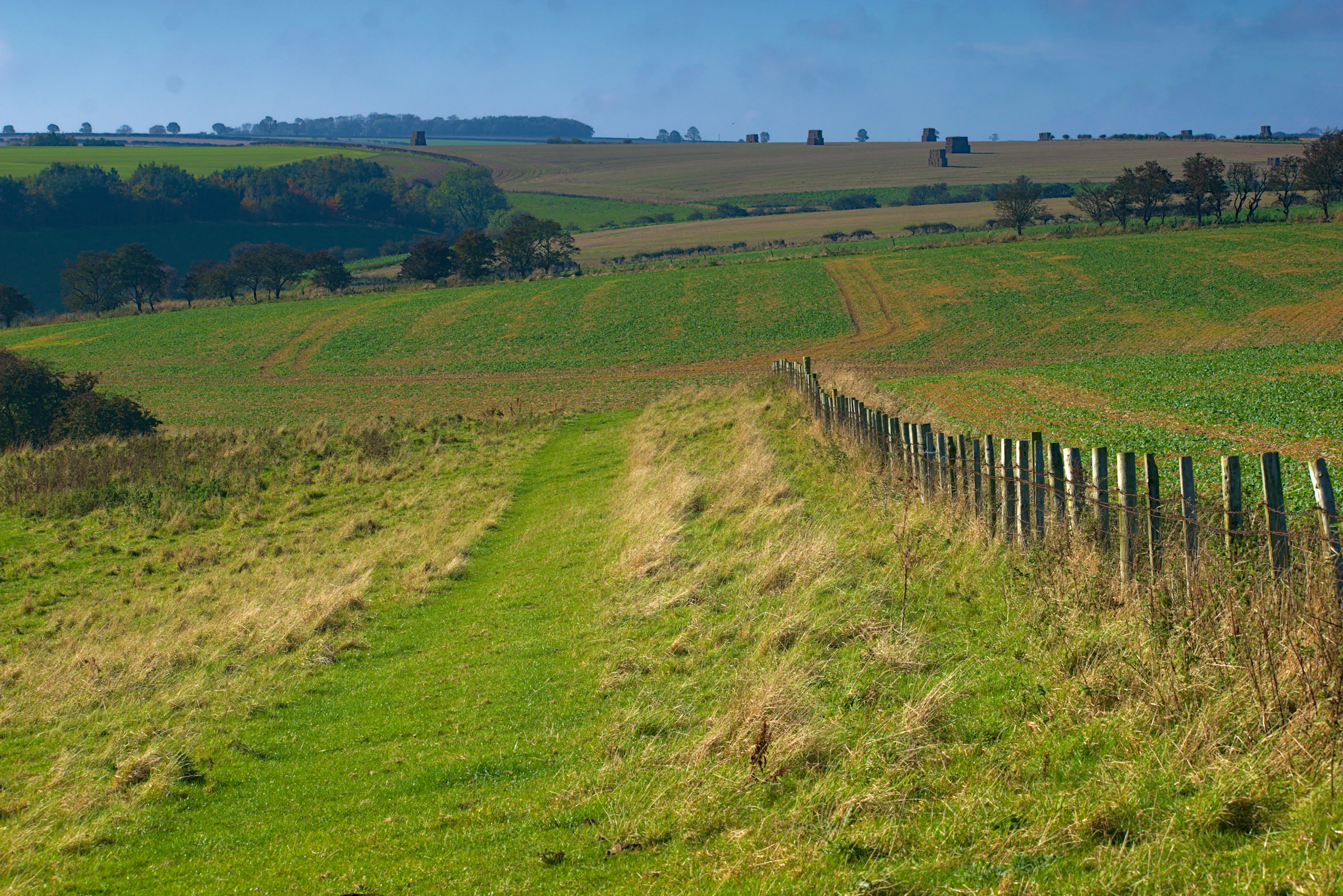 Footpath through green Yorkshire countryside