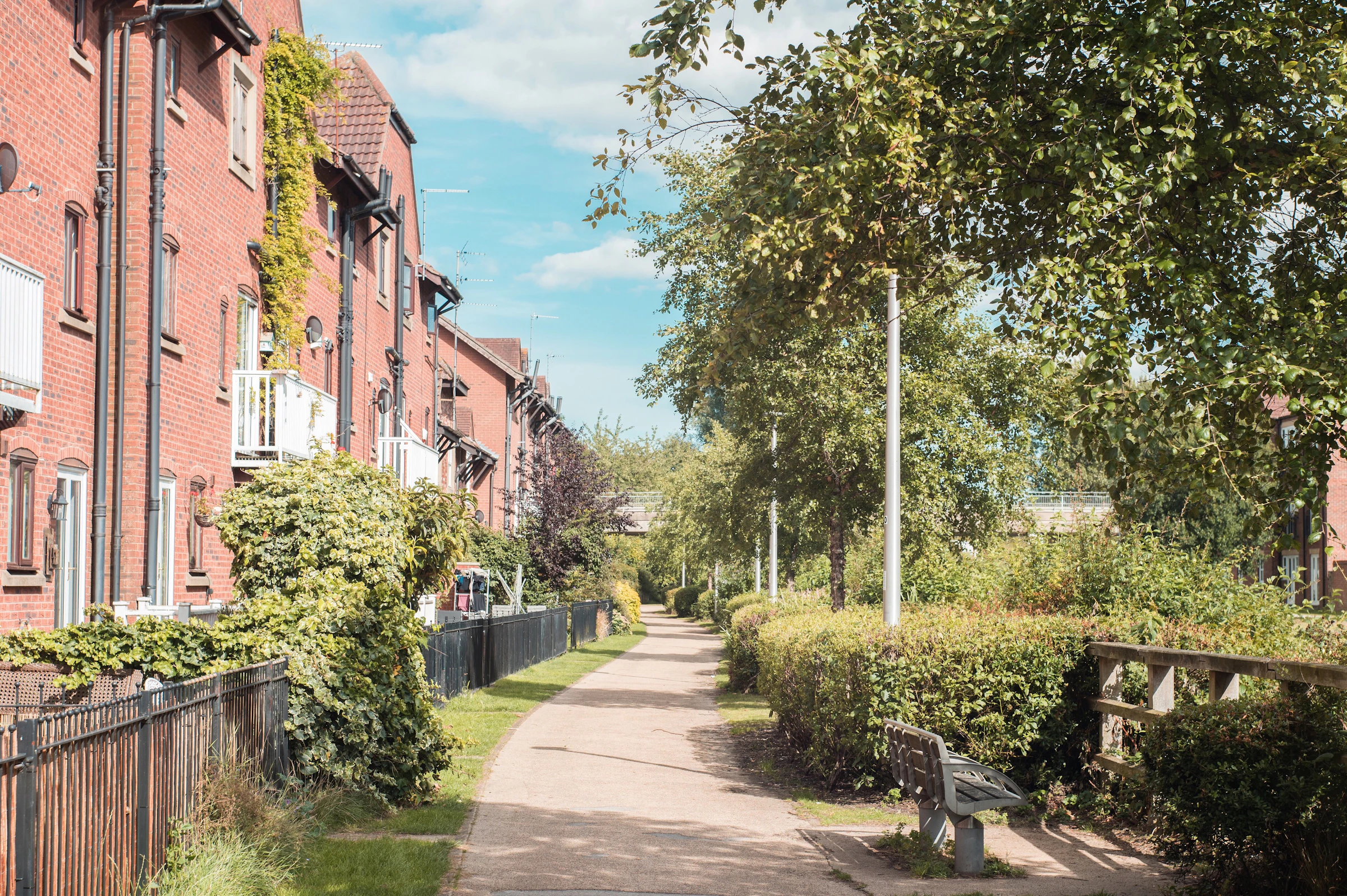 Leafy residential street of terraced houses in East Yorkshire