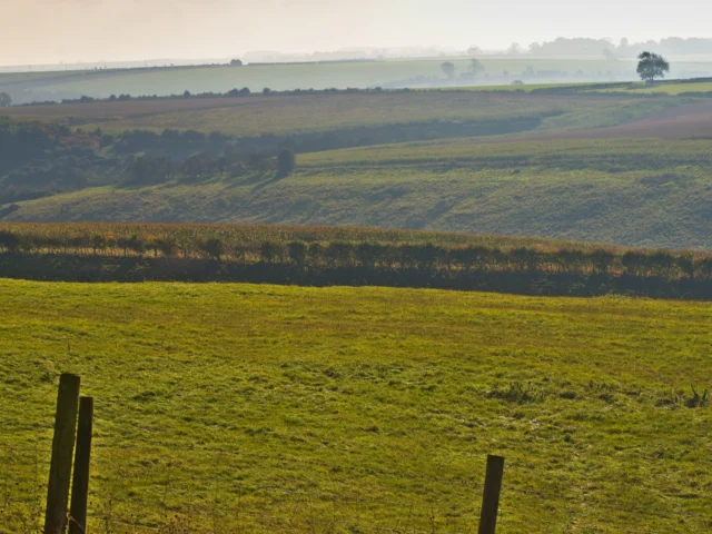 Rolling fields in the Yorkshire countryside