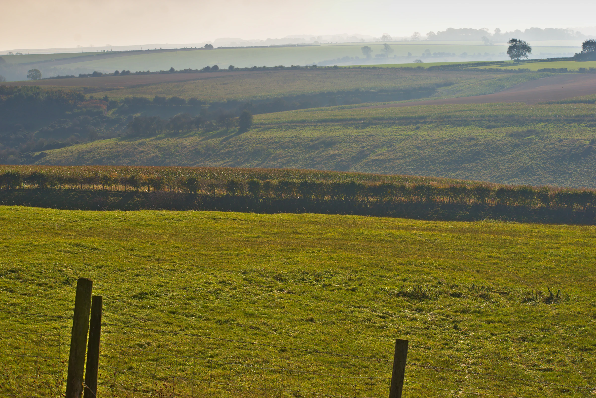 Rolling fields in the Yorkshire countryside